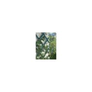 Grotelės TREPLAS vijoklinėms gėlėms - Image 2