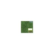 Sintetinė žolė/veja STANDART GREEN - Image 2