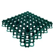 Žolės - vejos korys (žalias) Stella Green